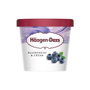 Haagen Dazs Blueberry Minicup 100ml 1