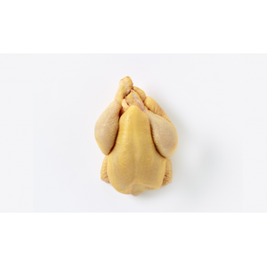 Savel Yellow Coquelet (g) 1