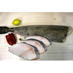 Akuruhi Gindara Herrings (g) 1